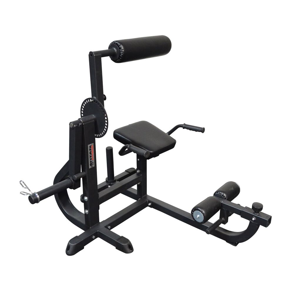Seated Ab Back Extension Machine