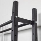 Bumper Plate/Weight Ball Shelf for Mass Storage System