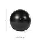 65 cm Black Exercise Stability Ball